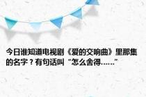 今日谁知道电视剧《爱的交响曲》里那集的名字？有句话叫“怎么舍得……”