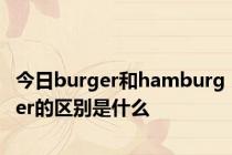 今日burger和hamburger的区别是什么