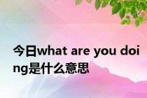 今日what are you doing是什么意思