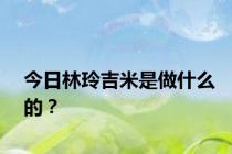 今日林玲吉米是做什么的？