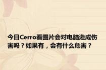 今日Cerro看图片会对电脑造成伤害吗？如果有，会有什么危害？