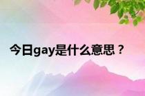 今日gay是什么意思？