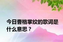 今日曹格掌纹的歌词是什么意思？