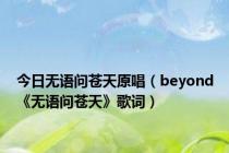 今日无语问苍天原唱（beyond《无语问苍天》歌词）