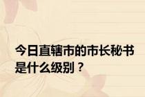 今日直辖市的市长秘书是什么级别？