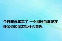 今日我要买车了,一个很好的朋友在我旁边说风凉话什么意思