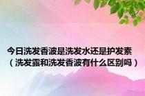 今日洗发香波是洗发水还是护发素（洗发露和洗发香波有什么区别吗）