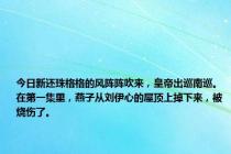 今日新还珠格格的风阵阵吹来，皇帝出巡南巡。在第一集里，燕子从刘伊心的屋顶上掉下来，被烧伤了。