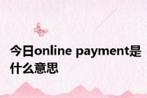 今日online payment是什么意思