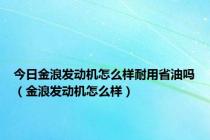 今日金浪发动机怎么样耐用省油吗（金浪发动机怎么样）