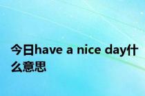 今日have a nice day什么意思