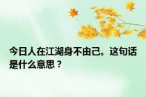 今日人在江湖身不由己。这句话是什么意思？