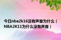 今日nba2k16没有声音为什么（NBA2K11为什么没有声音）