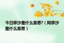 今日廖沙是什么意思?（阿廖沙是什么意思）