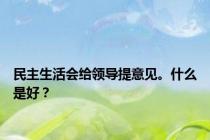 民主生活会给领导提意见。什么是好？