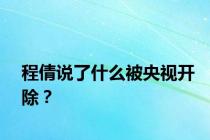 程倩说了什么被央视开除？