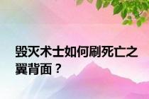 毁灭术士如何刷死亡之翼背面？