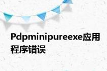 Pdpminipureexe应用程序错误