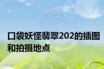 口袋妖怪翡翠202的插图和拍摄地点