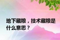 地下藏粮，技术藏粮是什么意思？