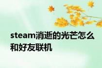 steam消逝的光芒怎么和好友联机