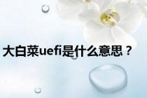 大白菜uefi是什么意思？