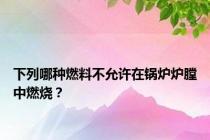 下列哪种燃料不允许在锅炉炉膛中燃烧？