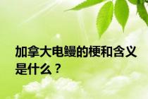 加拿大电鳗的梗和含义是什么？