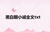 黑白朝小诚全文txt