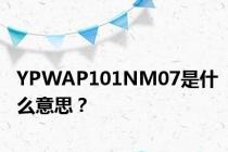 YPWAP101NM07是什么意思？