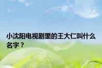 小沈阳电视剧里的王大仁叫什么名字？