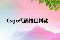 Csgo代码枪口抖动