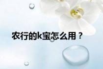 农行的k宝怎么用？