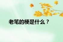 老笔的梗是什么？