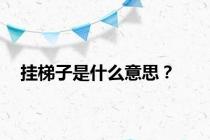 挂梯子是什么意思？