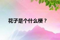 花子是个什么梗？