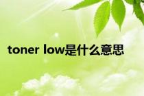 toner low是什么意思