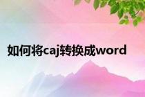 如何将caj转换成word