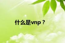 什么是vnp？