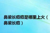 鼻梁长痘痘是哪里上火（鼻梁长痘）