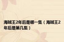 海贼王2年后是哪一集（海贼王2年后是第几集）