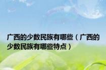 广西的少数民族有哪些（广西的少数民族有哪些特点）