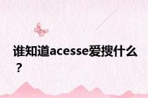 谁知道acesse爱搜什么？