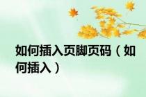 如何插入页脚页码（如何插入）