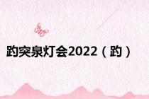 趵突泉灯会2022（趵）