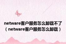 netware客户服务怎么卸载不了（netware客户服务怎么卸载）