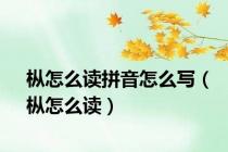 枞怎么读拼音怎么写（枞怎么读）