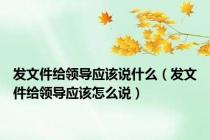 发文件给领导应该说什么（发文件给领导应该怎么说）