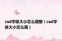 cad字体大小怎么调整（cad字体大小怎么调）