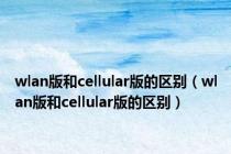 wlan版和cellular版的区别（wlan版和cellular版的区别）